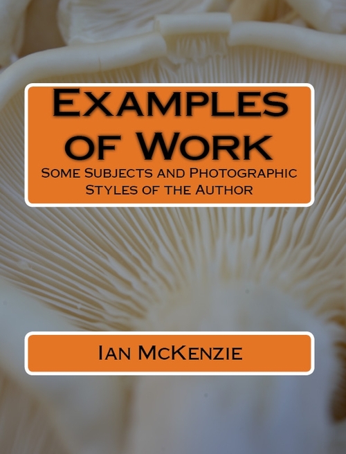 Product picture Examples of Work of Photographer Ian McKenzie